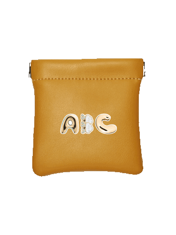 Gold Pocket Pouch